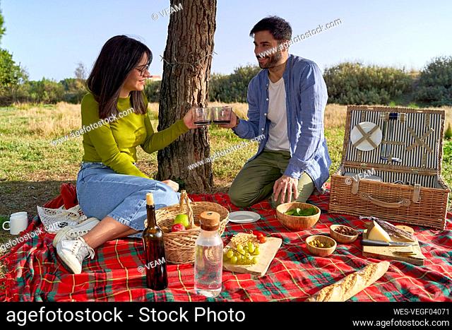 Smiling couple toasting cups during picnic on weekend