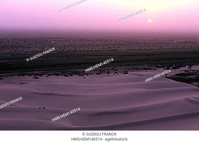 Mongolia, Omnogobi Province, Gobi desert, Khongoryn Els sand dunes