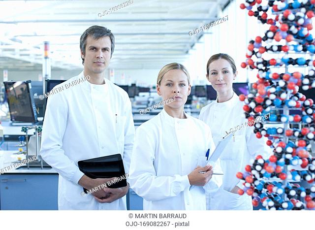 Scientists with molecular model in lab