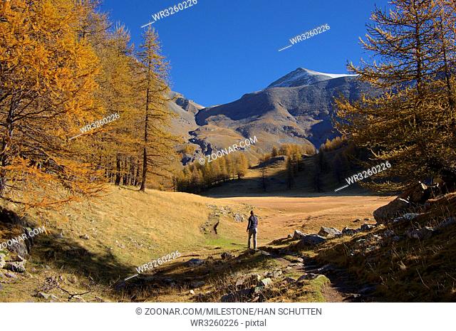 Alpen bei Allos, Alpes-de-haute-Provence Alps near Allos, Alpes-de-haute-Provence Adobe RGB
