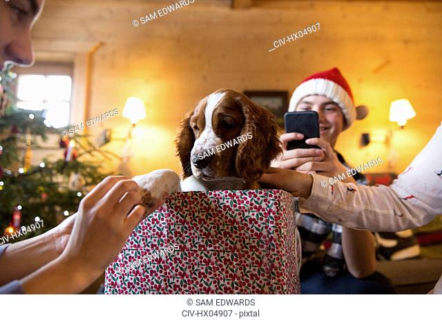 Family with dog in Christmas gift box