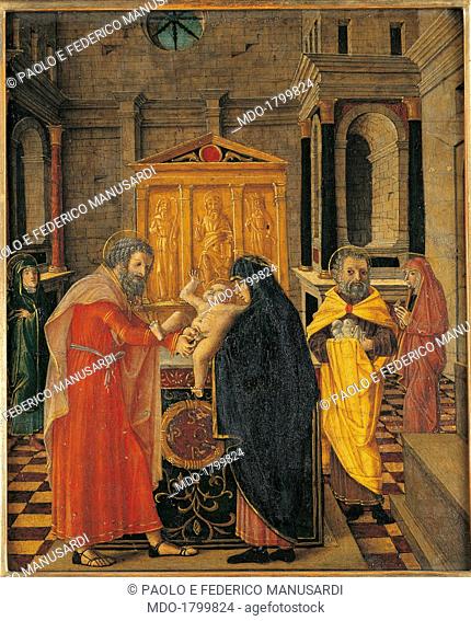 Circumcision of Christ, by Bernardino Butinone, 1450 - 1507, 15-16th Century, board. Italy, Lombardy, Bergamo, Carrara Academy. Whole artwork view