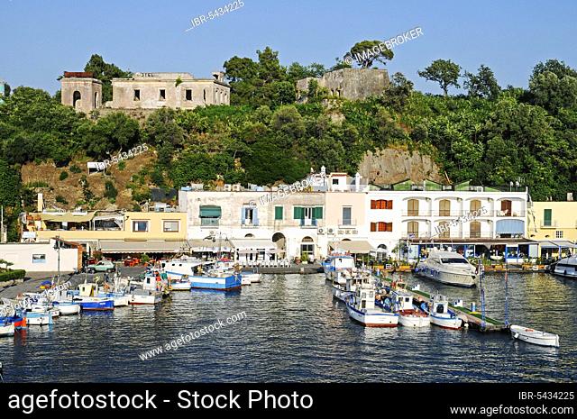 Ischia Porto, Port, Island of Ischia, Gulf of Naples, Campania, Italy, Europe