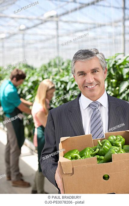 Businessman carrying box of produce in greenhouse