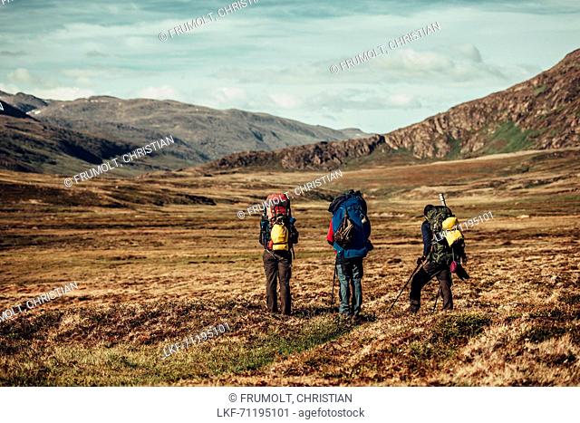 Hiker on a route through greenland, greenland, arctic