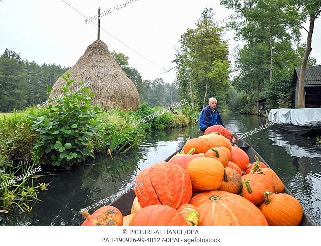 24 September 2019, Brandenburg, Lehde: The 69-year-old Harald Wenske from the Spreewald village Lehde has loaded his traditional wooden Spreewald barge with...