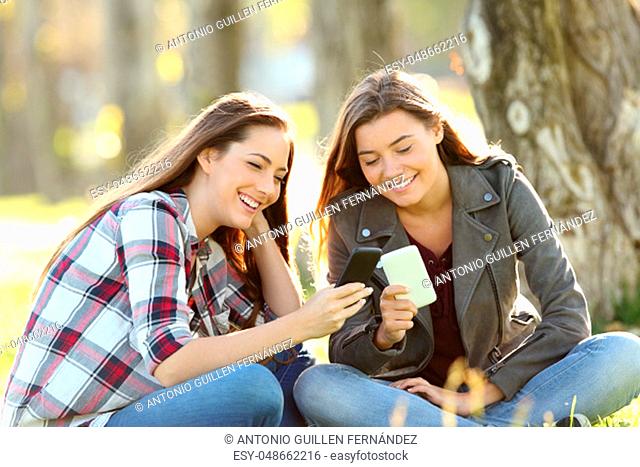 Two happy friends watching media content in their smart phones sitting on the grass in a park