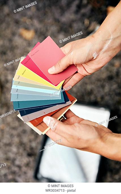 A person holding a paint colour chart, and a paint tray and roller in the background