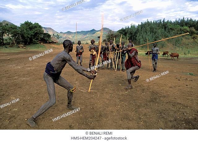 Ethiopia, Lower Omo Valley, listed as World Heritage by UNESCO, men from the Surma Tribe practicing Donga during the marriage season