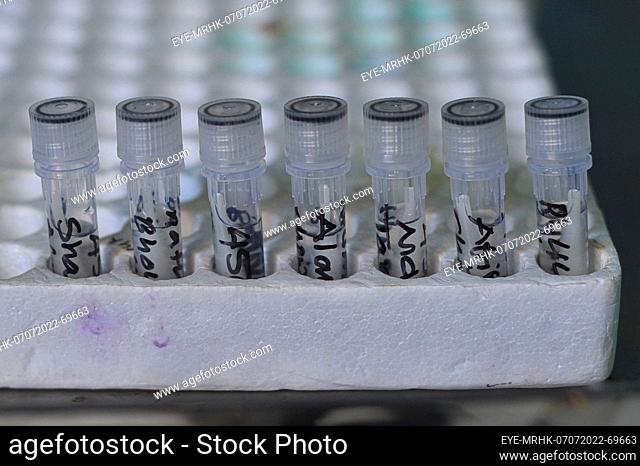 July 7, 2022, Sylhet, Bangladesh: General view of PCR test at Sylhet Sahid Shamsuddin Ahmed Hospital with symptoms of coronavirus