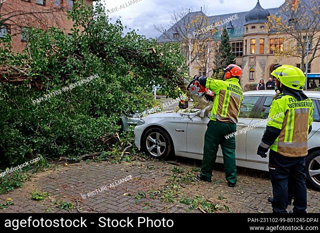 02 November 2023, Saxony-Anhalt, Wernigerode: The branch of a tree is stuck in the windshield of a car parked in Wernigerode