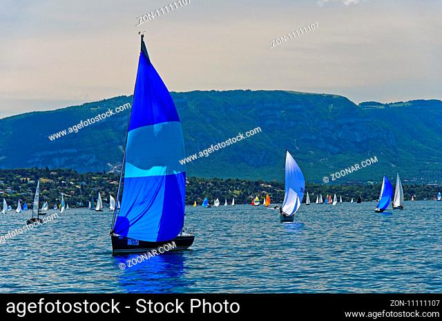 Segelboote auf dem Genfersee, Genf, Schweiz / Sailing boats on Lake Geneva, Geneva, Switzerland