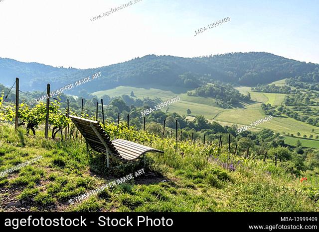 europe, germany, baden-wuerttemberg, schönbuch region, breitenholz, wooden lounger in the vineyard with a view of the wooded schönbuch western slope