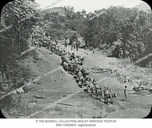 Black and white lantern Slide of Mule-team crossing Drift - British South Africa. Part of Box 288, British South Africa. Boswell Collection