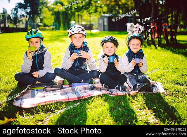 Theme active family holidays nature. group people small little children three brothers and sister sit onblanket near bicycles in park green grass lawn rest and...