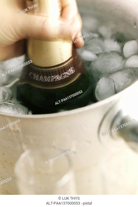 Hand holding bottle of Champagne in bucket