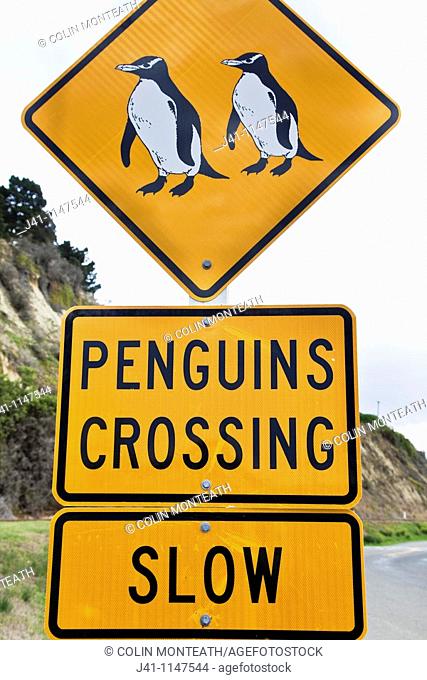 Blue penguin colony, Road sign, guided tourist attraction, Oamaru, Otago