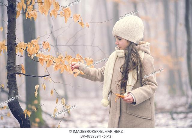 Girl, 7 years old, in the forest by fog in winter, Baden Württemberg, Germany, Europe