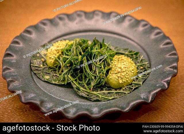 PRODUCTION - 20 April 2023, Mexico, Mexiko-Stadt: Cabbage tacos with pistachio-pipian sauce and rosemary, a creation of Mexican chef Elena Reygadas at her...