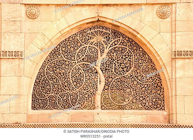 Carving of tree on the wall of sidi saiyad's mosque , Ahmedabad , Gujarat , India