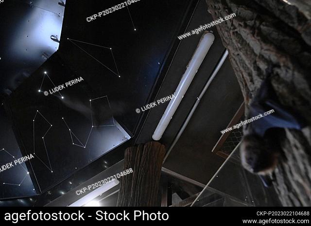 The repaired bat pavilion with a starry sky, 21 February 2023, zoo at Svaty Kopecek near Olomouc. The pavilion is home mainly to callous bats and the sky shows...