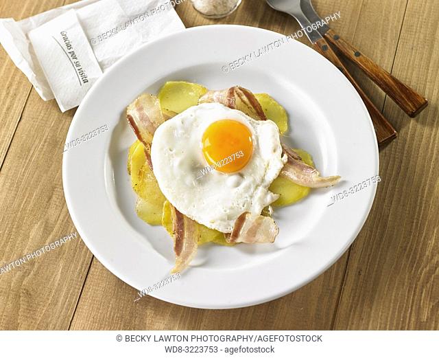 huevo frito con bacon y patatas / fried egg with bacon and potatoes