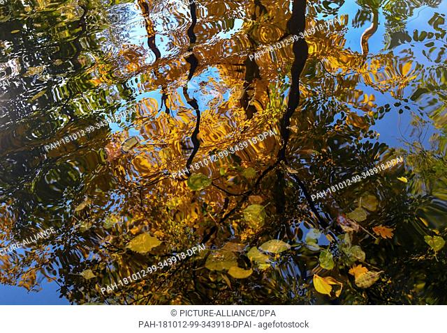 12 October 2018, Brandenburg, Luebbenau: Autumnally coloured trees on the banks of a river reflected in the water. Photo: Patrick Pleul/dpa-Zentralbild/dpa