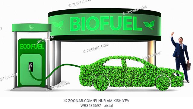 Concept of bio fuel and ecology preservation