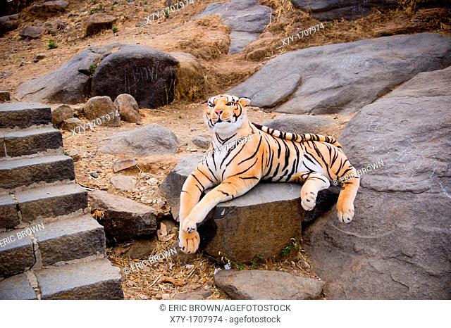 A stuffed animal tiger, seen along the path up Girnar Hill, a pilgrimage site for both Jains and Hindus  Junagadh, Gujarat, India