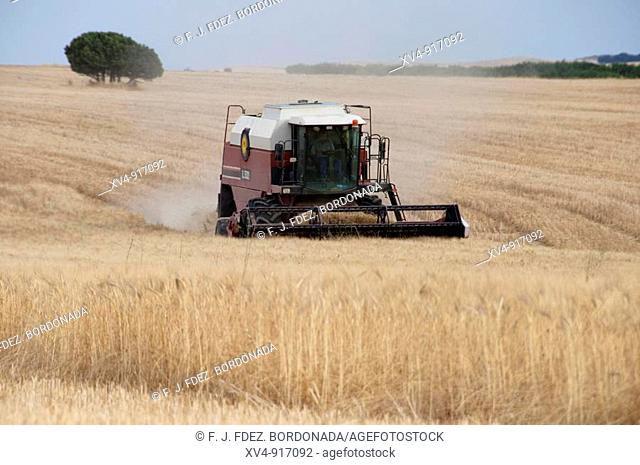 Agriculture in Monegros area, Zaragoza, Spain