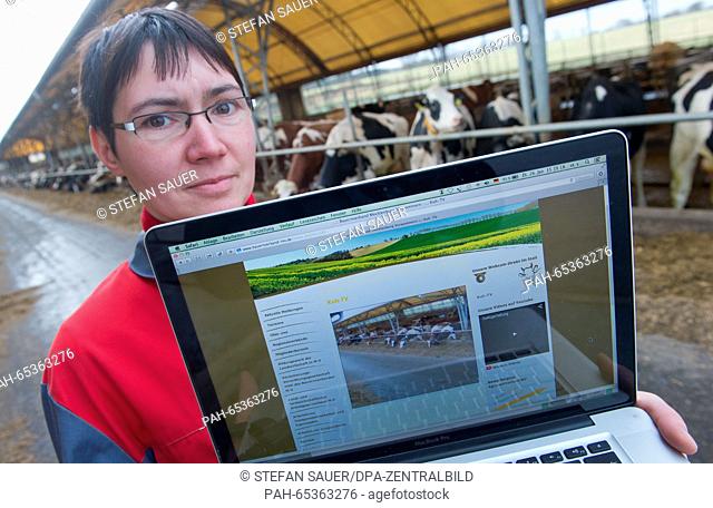 Herd manager Baerbel Hayn showing the cowshed webcam on the website of the Mecklenburg-Western Pomerania farmers' association