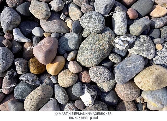 Various pebble stones on Baltic Sea beach, Ahrenshoop, Fischland, Fischland-Zingst, Mecklenburg-Western Pomerania, Germany
