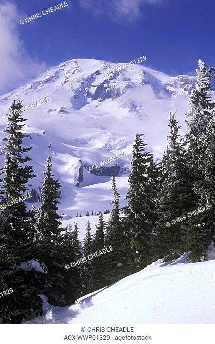 USA, Mount Rainier National Park in winter