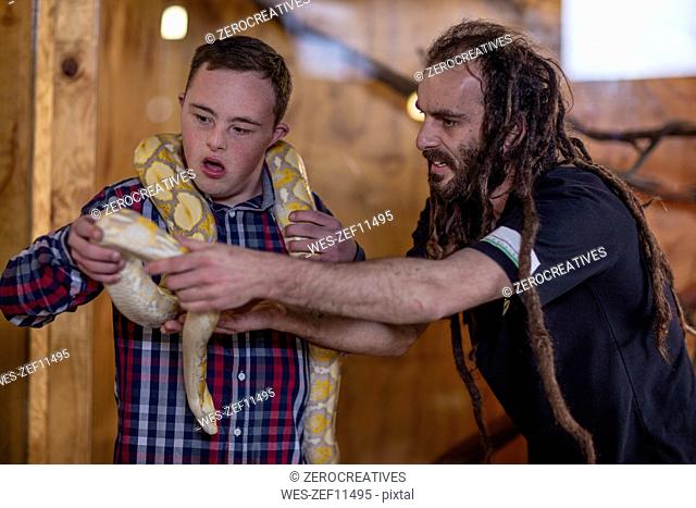 Animal attendant handing over albino python snake to young man with down syndrome