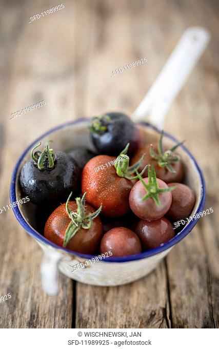 Old tomato varieties in a colander