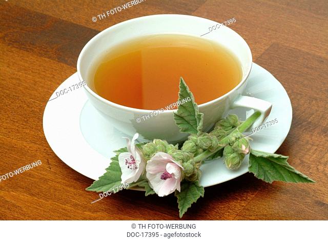 Marshmallowtea - medicinal tea - herbtea -Althaea officinalis - Altea - te