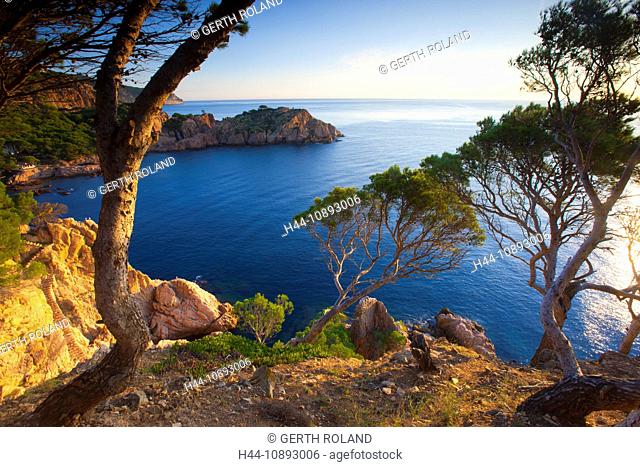 Aigua-xellida, Spain, Europe, Catalonia, Costa Brava, sea, Mediterranean Sea, coast, rock coast, morning light, trees, pines