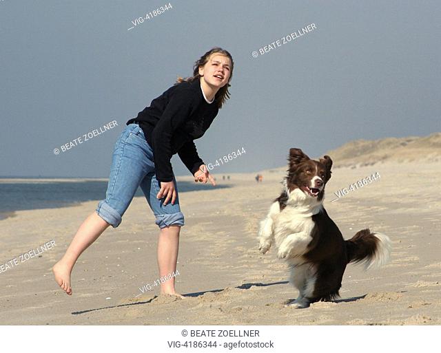 Girl rages / playing with dog on beach - Sylt, Weststrand, Schleswig-Holstein, Germany, 02/04/2005