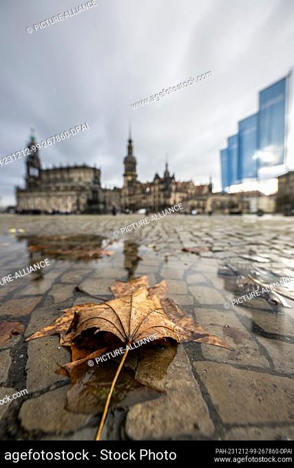 12 December 2023, Saxony, Dresden: A leaf lies in a puddle on Theaterplatz in the old town in front of the Hofkirche, the Hausmannsturm and the Residenzschloss