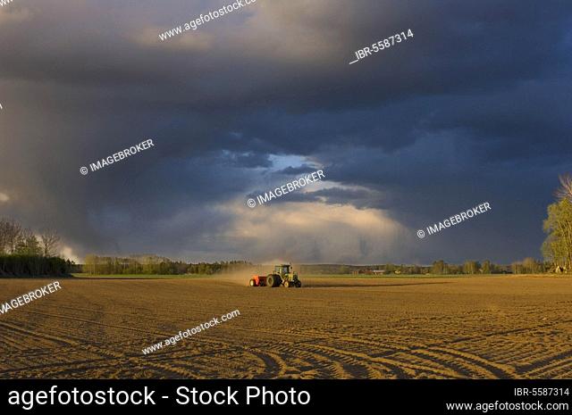 Tractor drilling farmland, with approaching storm clouds, Sweden, Europe