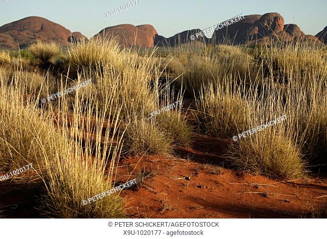 sandstone formation Olgas or Kata Tjuta at Uluru-Kata-Tjuta National Park, Northern Territory, Australia