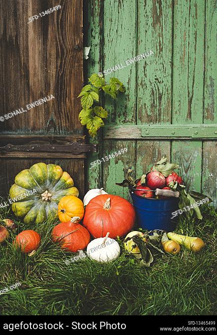Pumpkins, pears and apples outdoors