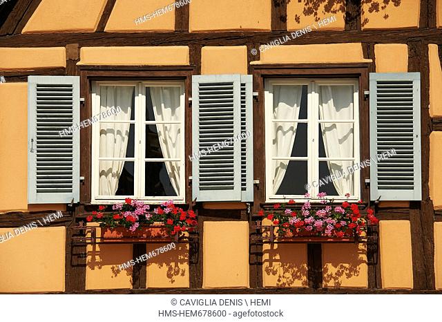 France, Haut Rhin, Alsace Wine Route, Eguisheim, labeled Les Plus Beaux Villages de France The Most Beautiful Villages of France