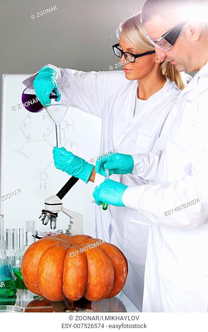 Scientist conducting genetic experiment with pumpkin