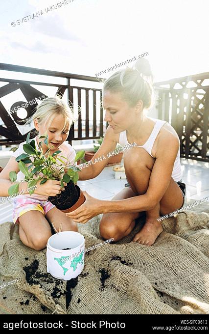 Mother and daughter planting on roof terrace together