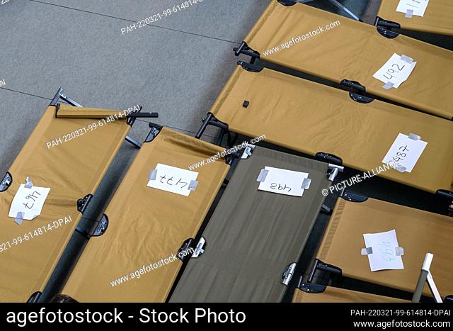 21 March 2022, Saxony-Anhalt, Halle (Saale): Cots with numbers stand next to each other in the Brandberge sports hall. There