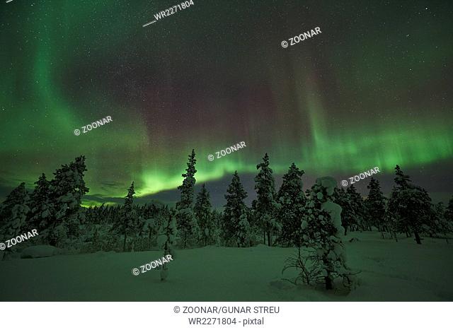 Northern lights (Aurora borealis), Lapland, Sweden