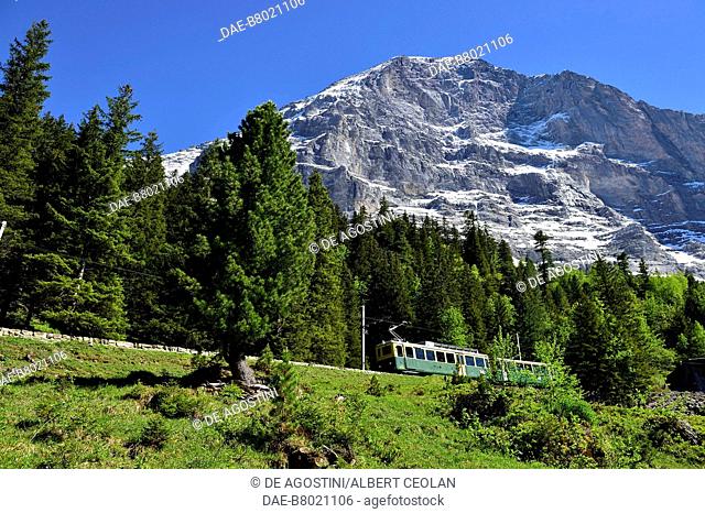 Train of the Wengernalpbahn railway, Mount Eiger in the background, Jungfrau-Aletsch-Bietschhorn (UNESCO World Heritage List, 2001), Bernese Highlands
