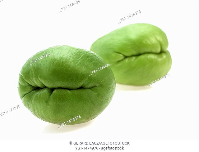 Chayote, sechium edule, Mexican Fruit against White Background