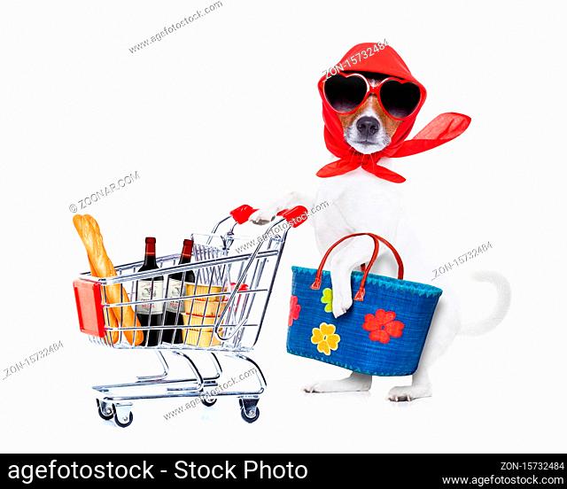 crazy and silly jack russell dog diva lady with bag pushing full of products supermarket cart , isolated on white background
